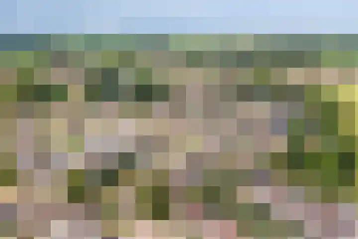 Reiger 102 Raalte thumbnail 55