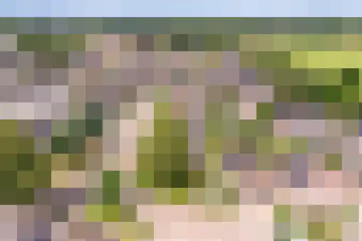 Reiger 102 Raalte thumbnail 56