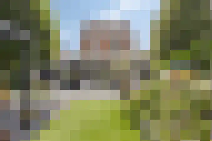 Reiger 102 Raalte thumbnail 57