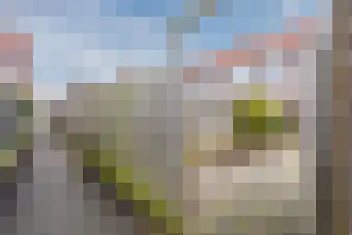 Reiger 104 Hoorn thumbnail 24