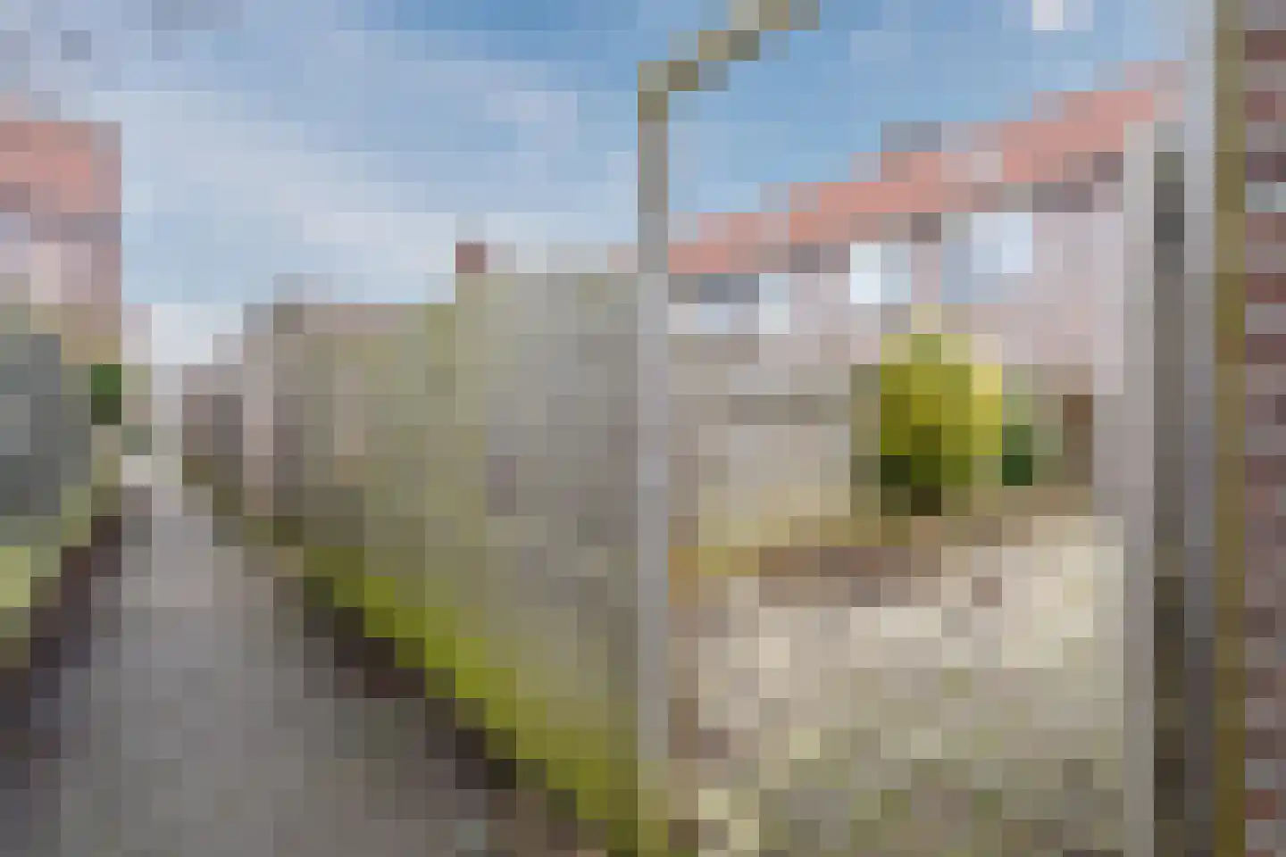 Reiger 104 Hoorn thumbnail 28