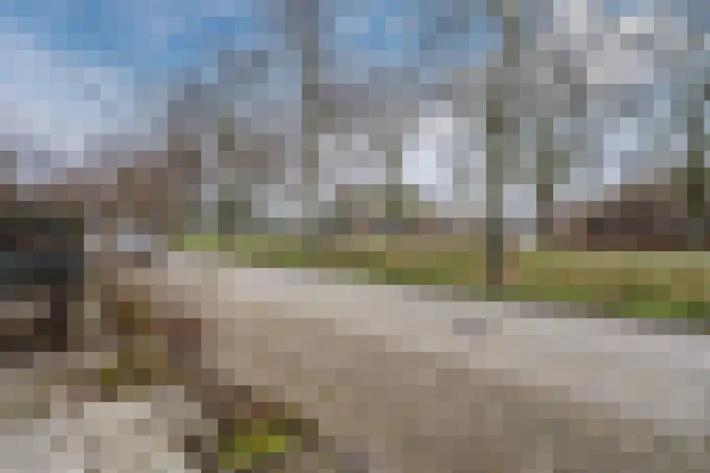Reiger 104 Hoorn thumbnail 30