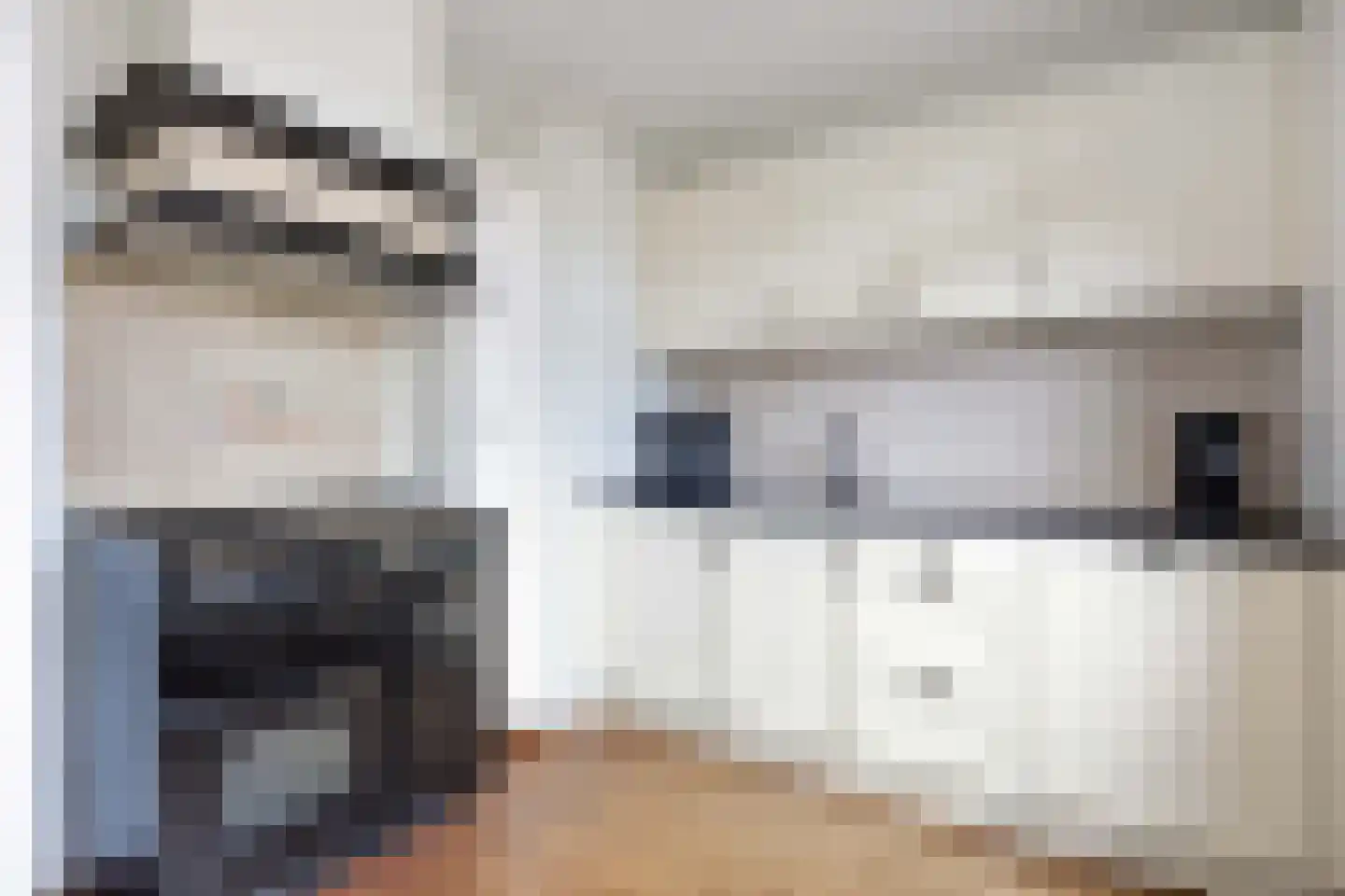 Reiger 11 Bedum thumbnail 21