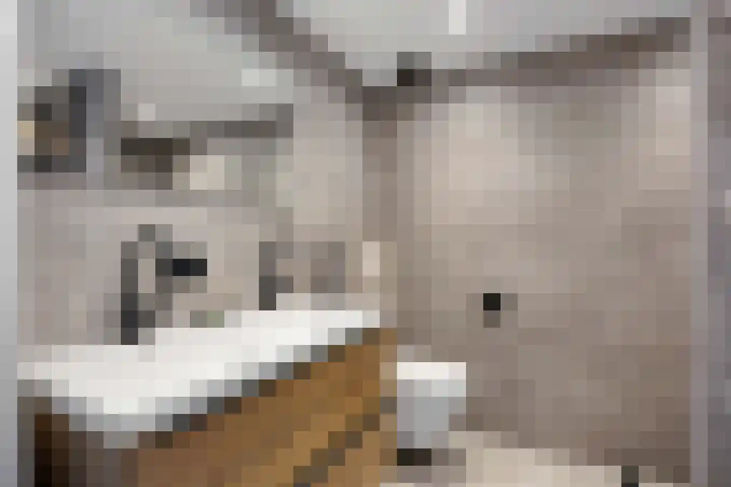 Reiger 11 Bedum thumbnail 30