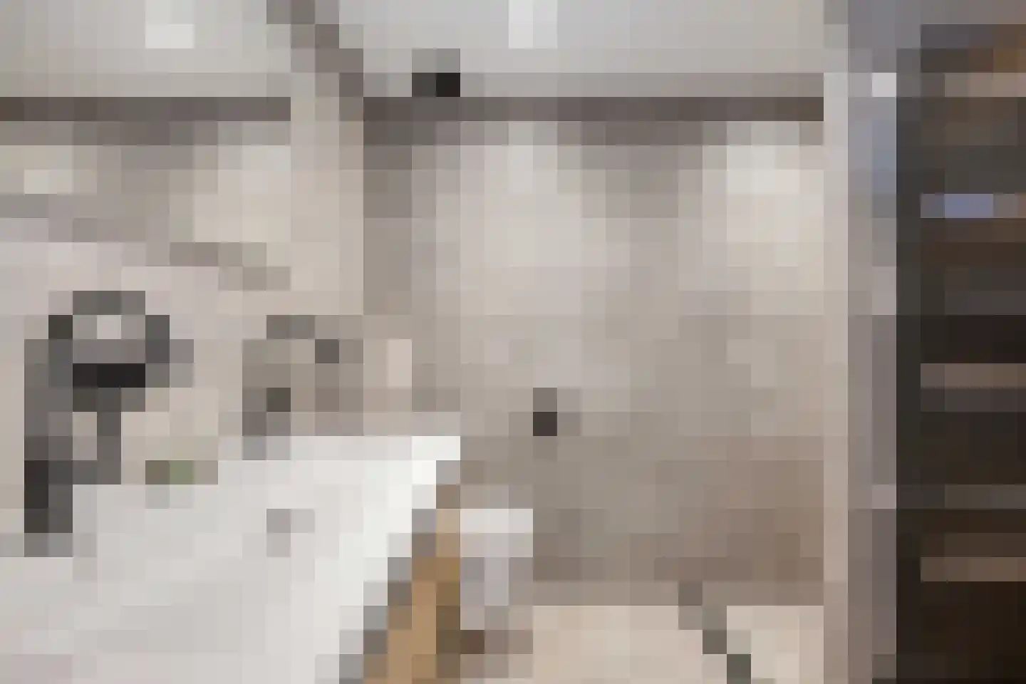 Reiger 11 Bedum thumbnail 31