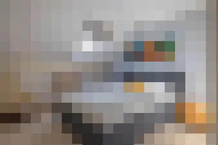 Reiger 11 Grootegast thumbnail 14