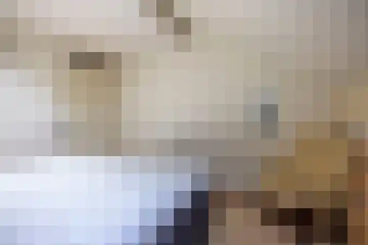 Reiger 11 Grootegast thumbnail 15