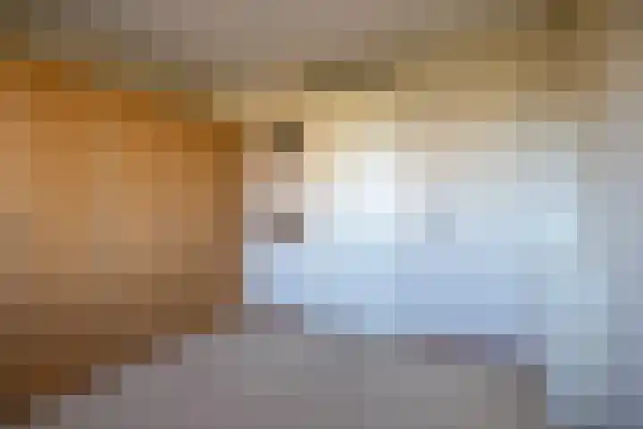 Reiger 11 Grootegast thumbnail 24