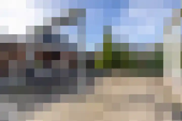 Reiger 11 Grootegast thumbnail 28