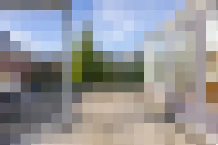 Reiger 11 Grootegast thumbnail 29