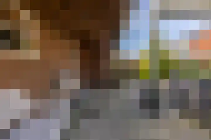 Reiger 11 Grootegast thumbnail 30