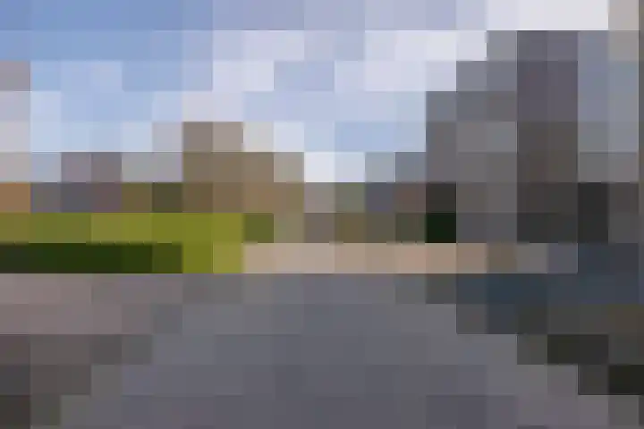 Reiger 11 Grootegast thumbnail 36