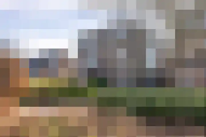 Reiger 11 Grootegast thumbnail 37