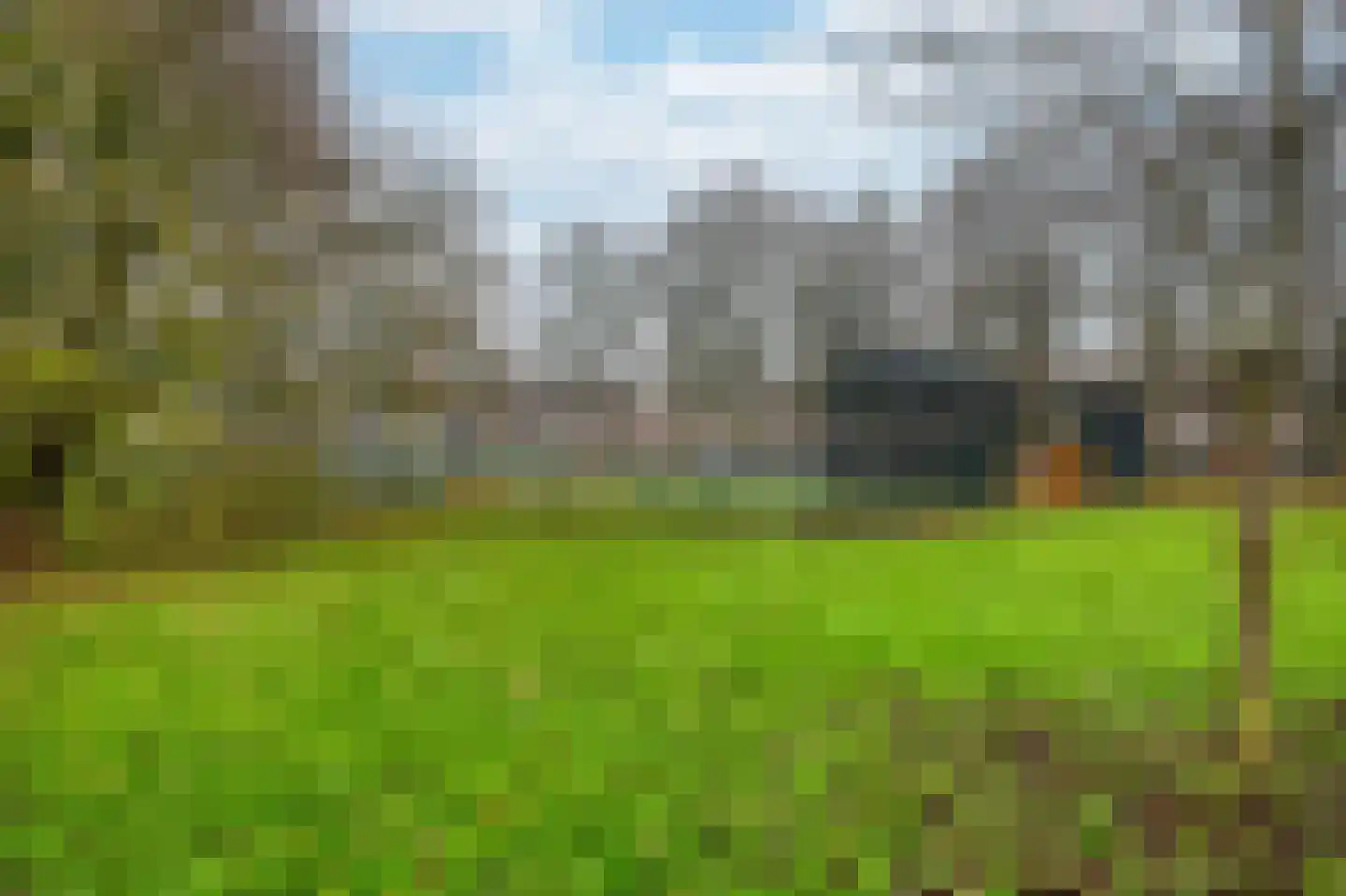 Reiger 119 Hoorn thumbnail 37