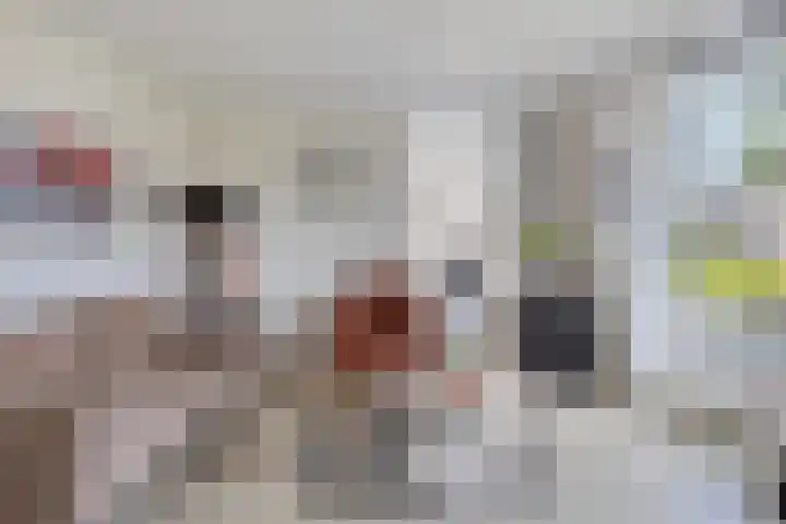 Reiger 12 Bedum thumbnail 13