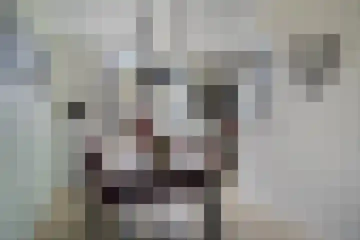 Reiger 12 Bedum thumbnail 18