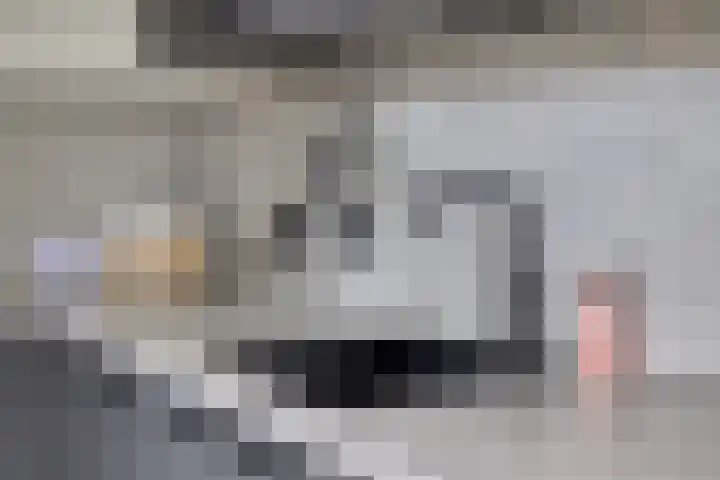 Reiger 12 Bedum thumbnail 21