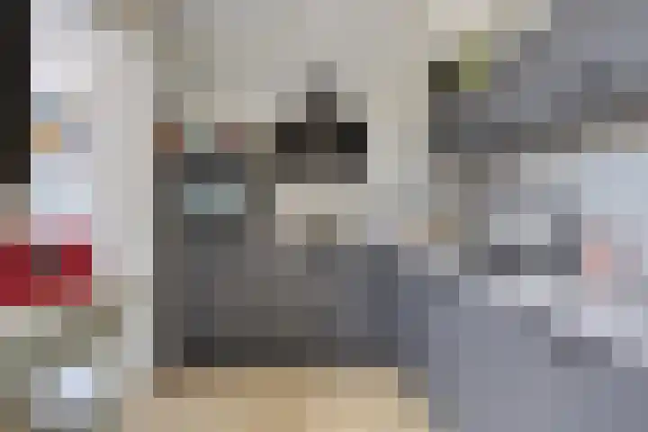 Reiger 12 Bedum thumbnail 22