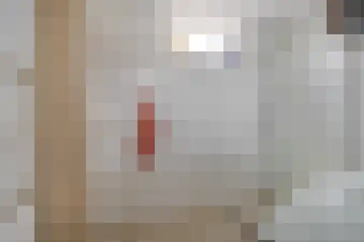 Reiger 12 Bedum thumbnail 27