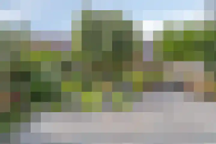 Reiger 12 Bedum thumbnail 41