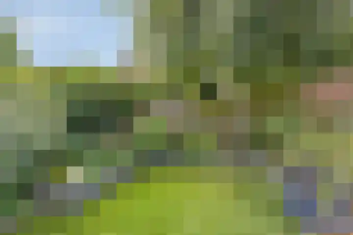 Reiger 12 Bedum thumbnail 42