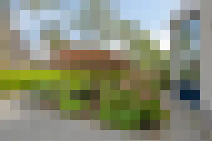 Reiger 12 Bedum thumbnail 46