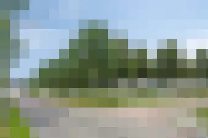 Reiger 12 Bedum thumbnail 52