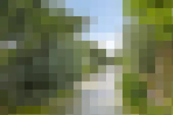 Reiger 12 Bedum thumbnail 53