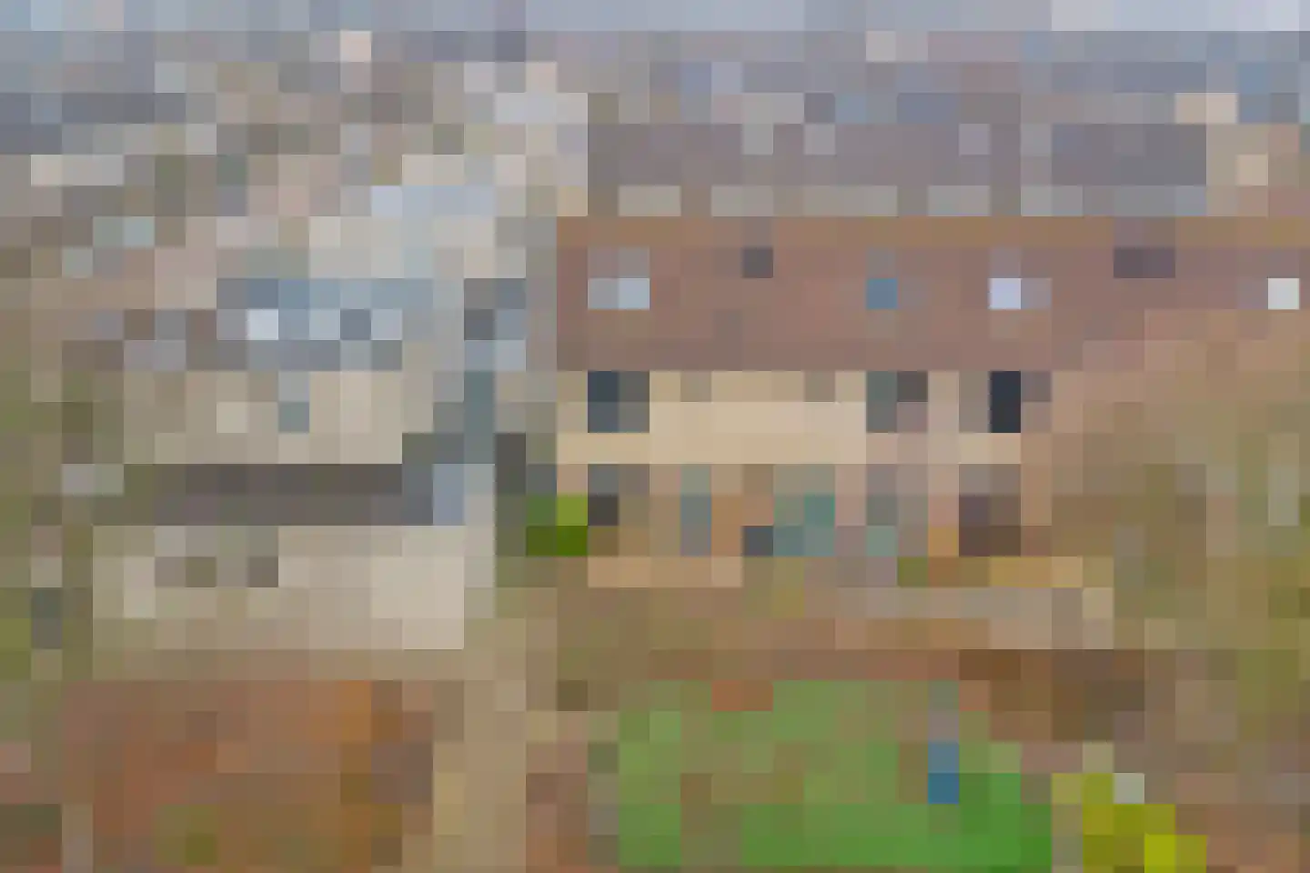 Reiger 13 's-Gravenzande thumbnail 20