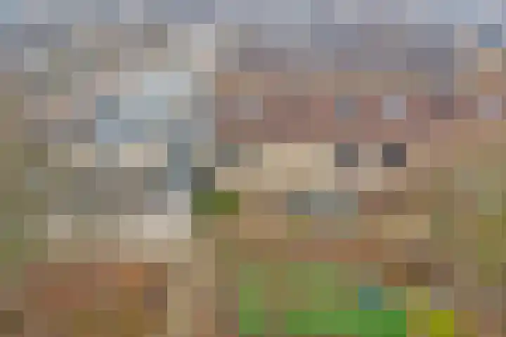 Reiger 13 's-Gravenzande thumbnail 20