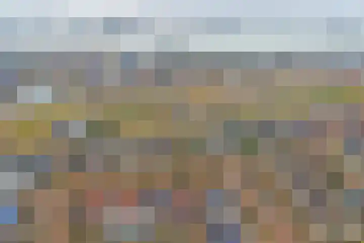 Reiger 13 's-Gravenzande thumbnail 21