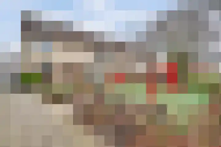 Reiger 13 's-Gravenzande thumbnail 23