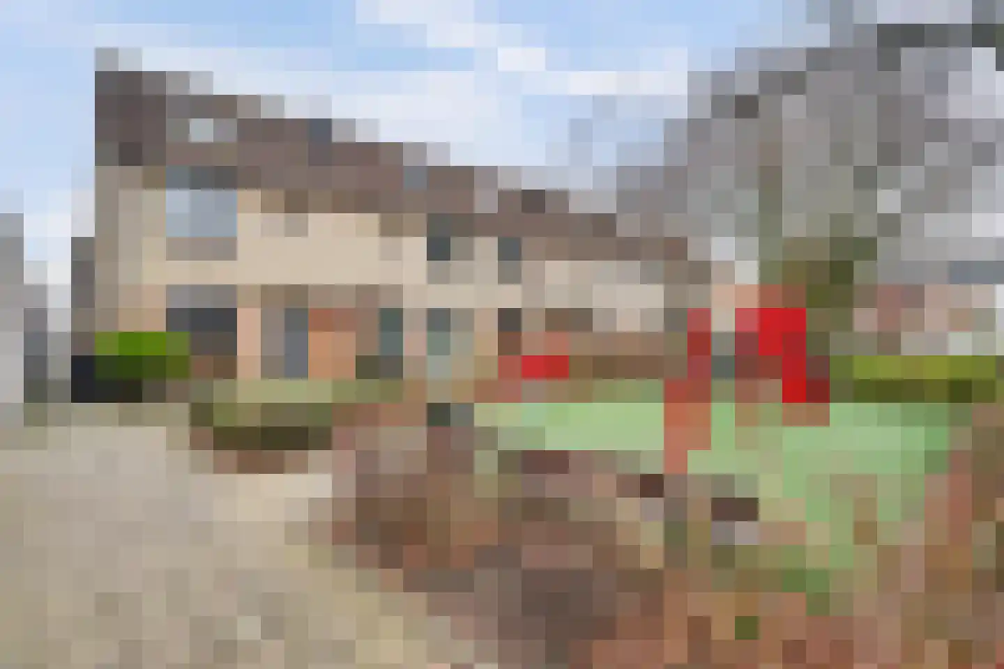 Reiger 13 's-Gravenzande thumbnail 23