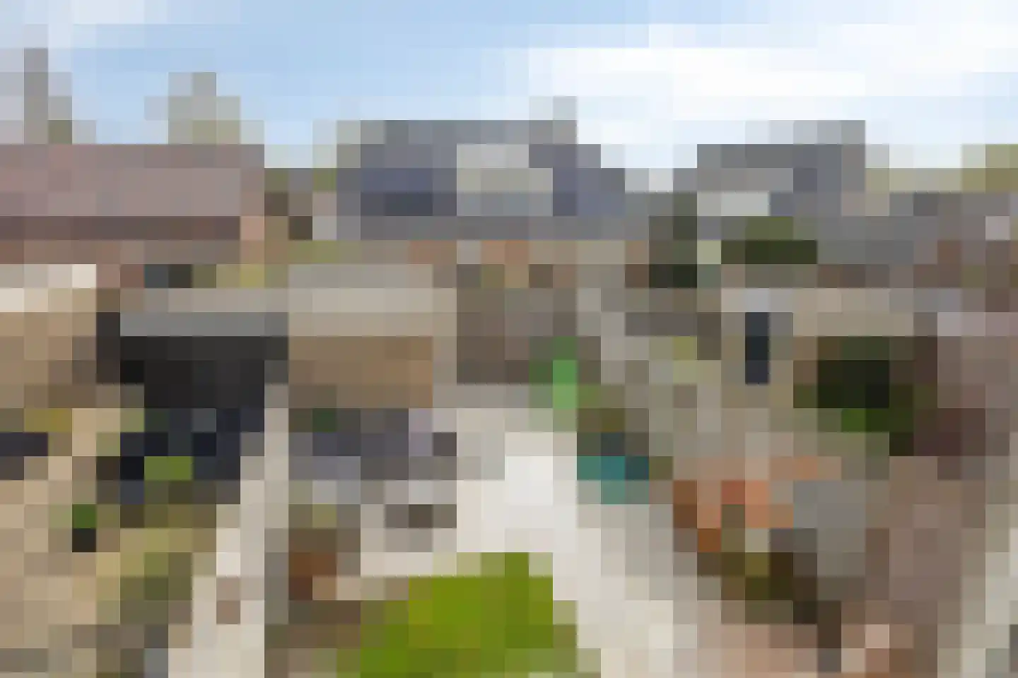 Reiger 13 Sommelsdijk thumbnail 21