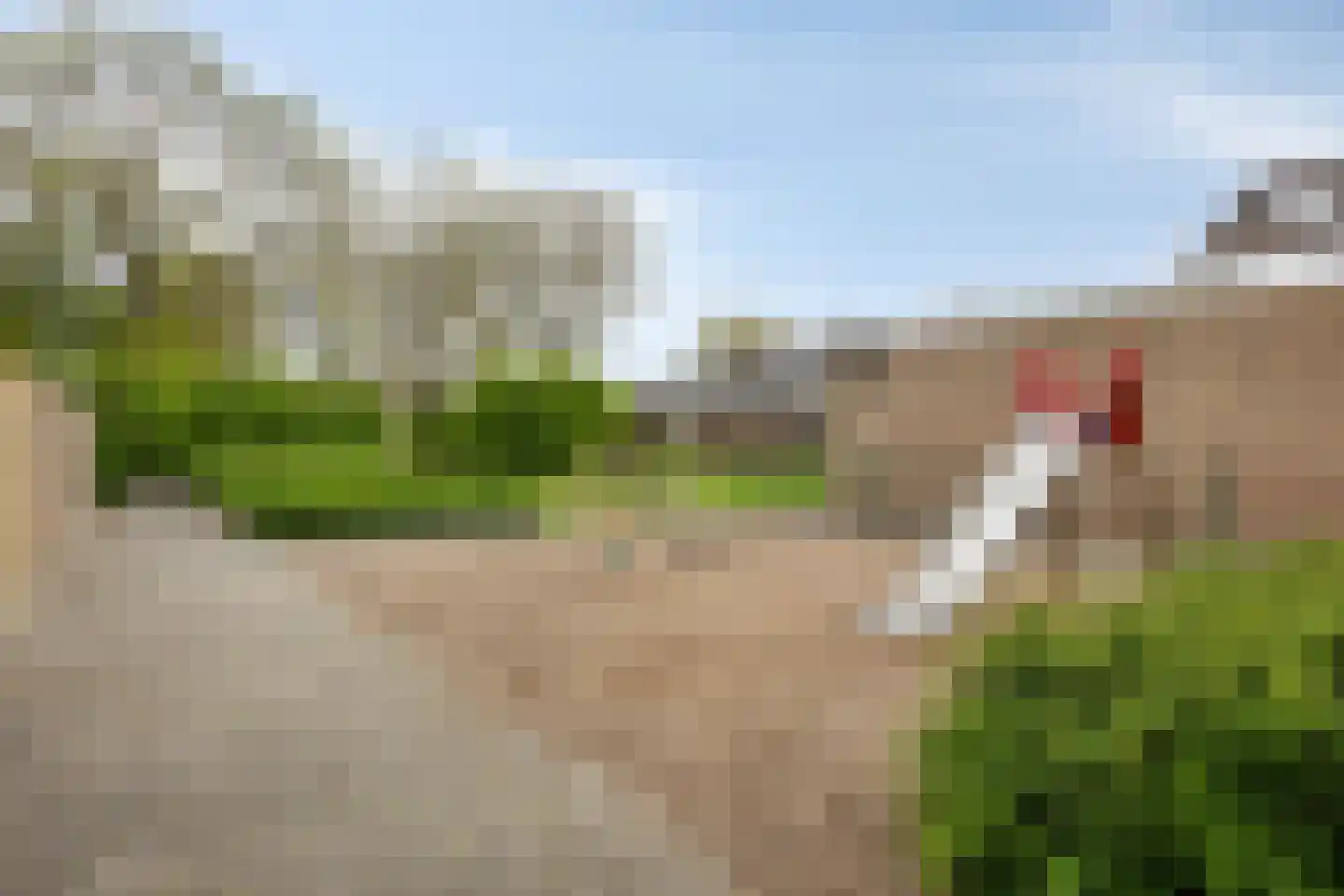 Reiger 13 Sommelsdijk thumbnail 37