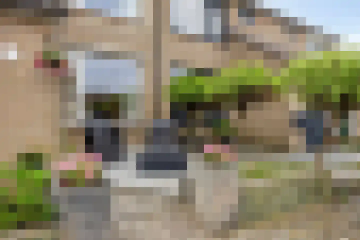 Reiger 13 Sommelsdijk thumbnail 7