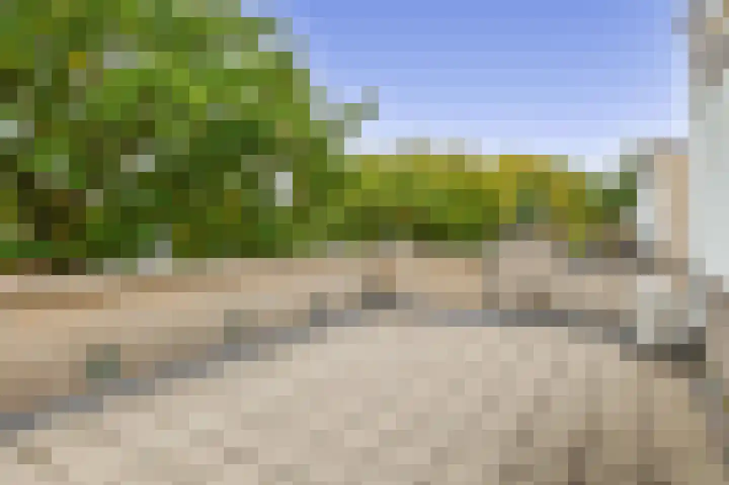 Reiger 13 Veldhoven thumbnail 31