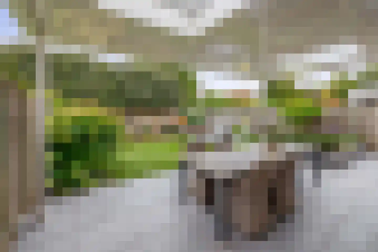 Reiger 13 Veldhoven thumbnail 35