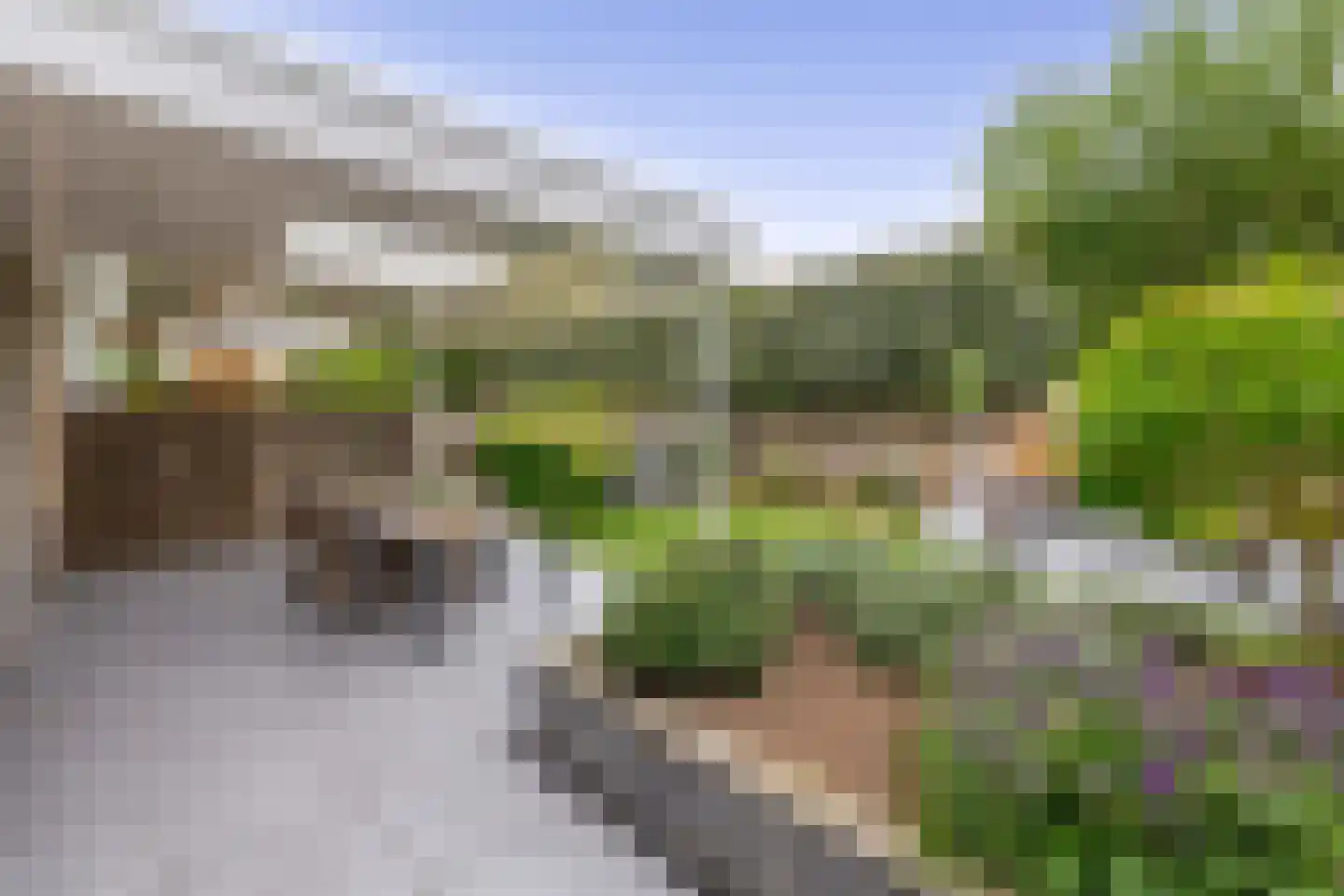 Reiger 13 Veldhoven thumbnail 36