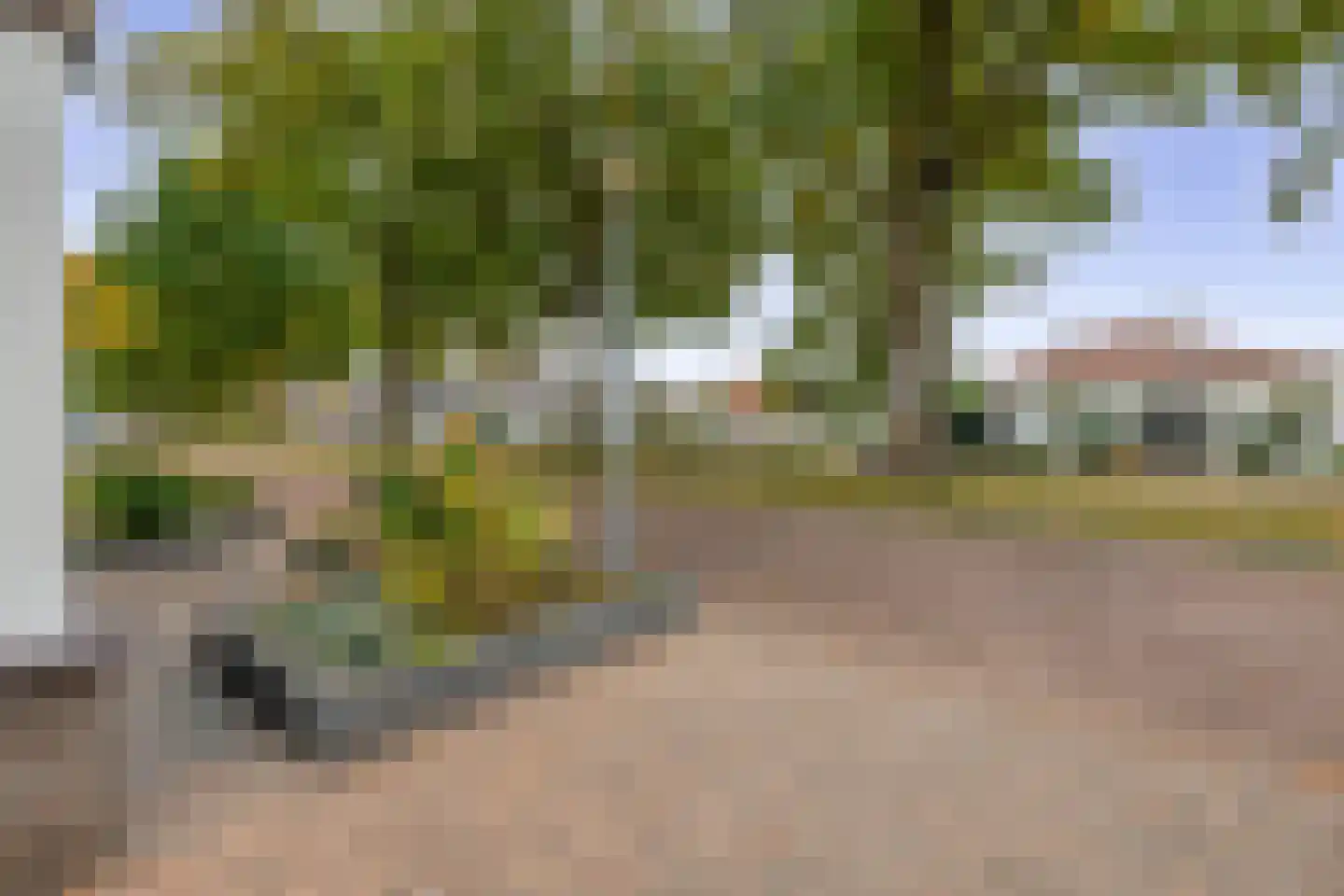Reiger 13 Veldhoven thumbnail 7