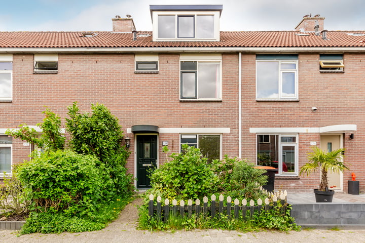 Reiger 133 in Hoorn Foto