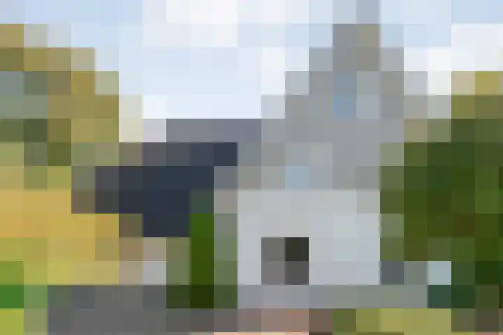 Reiger 144 Raalte thumbnail 10
