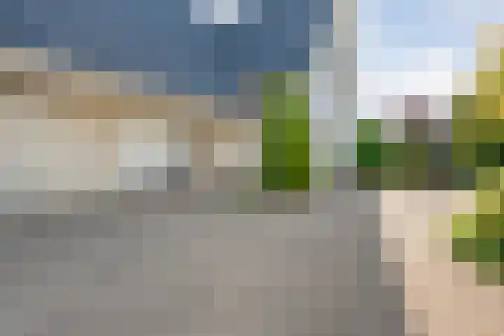Reiger 144 Raalte thumbnail 11