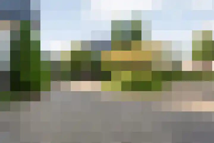 Reiger 144 Raalte thumbnail 12