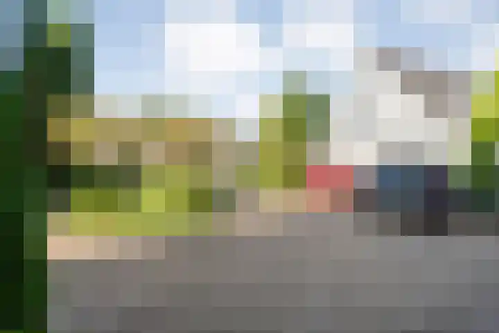 Reiger 144 Raalte thumbnail 13