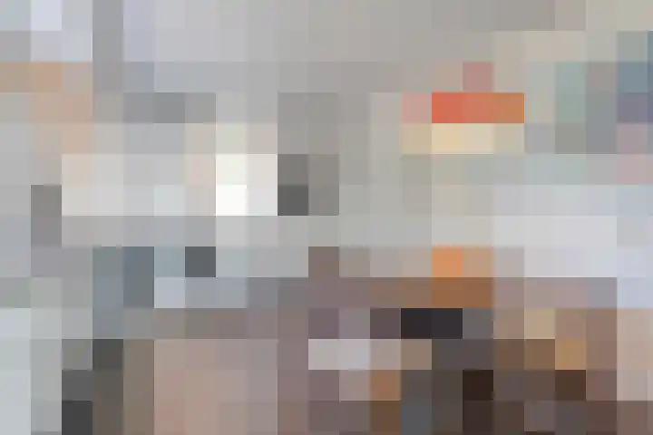 Reiger 144 Raalte thumbnail 24
