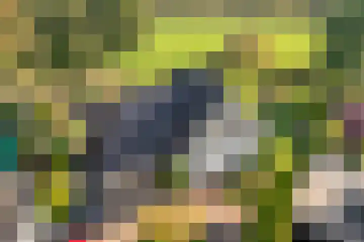 Reiger 144 Raalte thumbnail 4