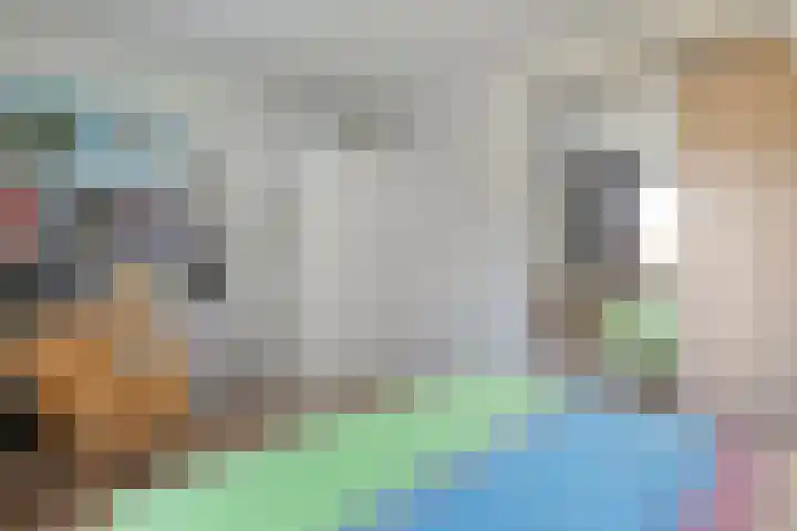 Reiger 144 Raalte thumbnail 45
