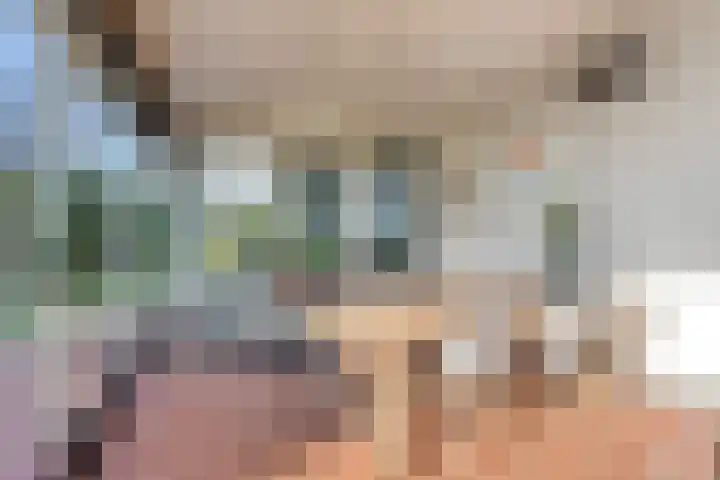 Reiger 144 Raalte thumbnail 51
