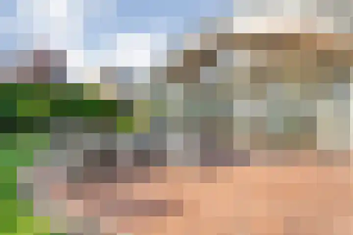 Reiger 144 Raalte thumbnail 53